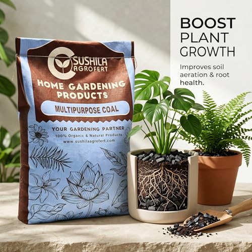 Image of Multipurpose Charcoal for Barbecue Grill, Pooja Havan, Dhoop, Gardening 3KG