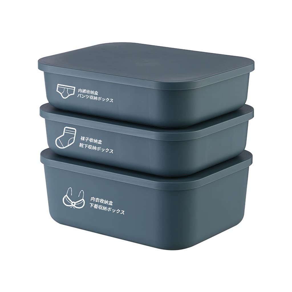 3-teiliges Set Unterwäsche-Aufbewahrungsbox, Schublade, Socken, BH, Handschuhe, Schrank-Organizer, Unterwäsche, Schubladen-Organizer (B 3)