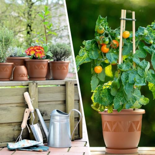 Plastard Blumentopf Ø 35 cm mit Untersetzer rund – Terrakotta – Pflanzkübel – Ansicht 6