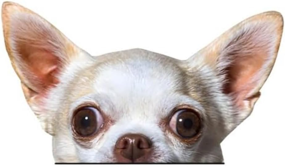 2PCS Peeking Chihuahua Head Dog Sticker 6.69"x3.94", Waterproof Vinyl Car Decal for Bumper, Notebook, Guitar, A Gift for Pet Lovers |#TM276 (A) - Image 4