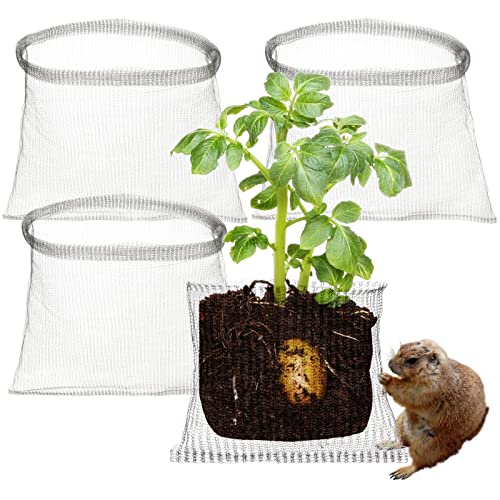 Gopher-Schutzkörbe Aus Edelstahl – 3 Stück, Für Pflanzenwurzeln Gegen Wühlmäuse & Maulwürfe | Wurzelschutz Für Garten, Blumen, Zwiebeln