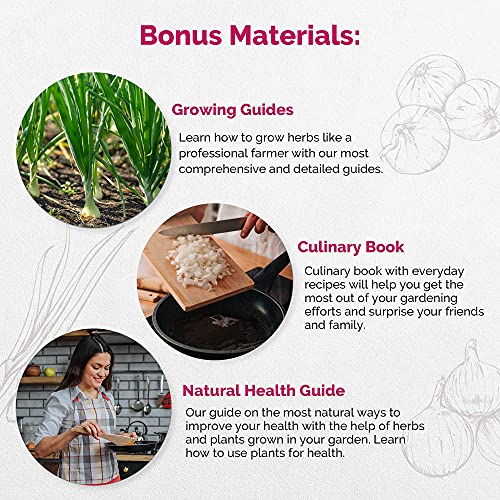 20 Most Popular Vegetables And 8 Onions Seeds Variety Packs Bundle Non-Gmo Heirloom Seeds For Planting Indoor And Outdoor Over 2900 Onions & Vegetables Seeds In One Value Bundle #TOP5