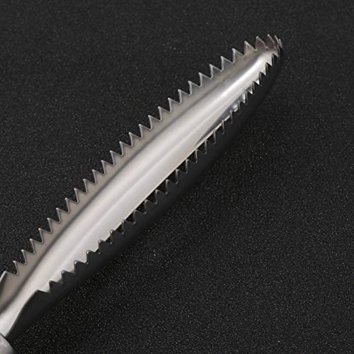 UPKOCH Removedor de escamas de peixe de aço inoxidável raspador de escamas de peixe para descamação