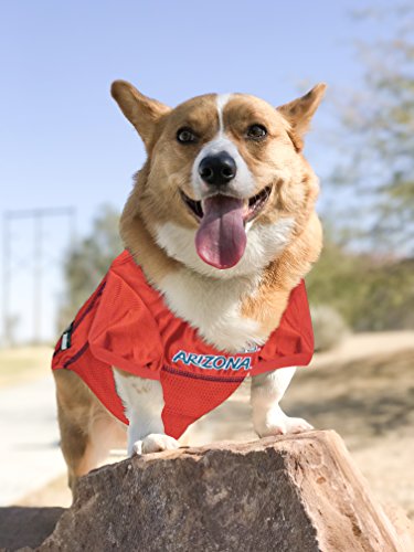 Image of Pets First Collegiate University of Arizona Wildcats Dog Mesh Jersey, Small
