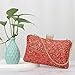 Imagen de Syrads Vintage Embrague Noche Bolsos Cena Bolsas Damas Pures Boda Fiesta Bolso Monedero