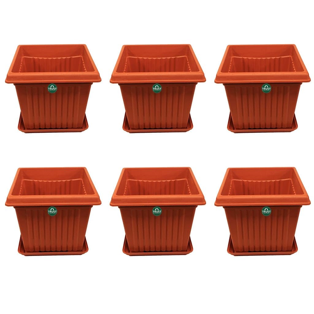 TrustBasket 10 inch Square Plastic Planter with Saucer - Set of 6 (B0CGM7C2ST) Amazon Price History, Amazon Price Tracker