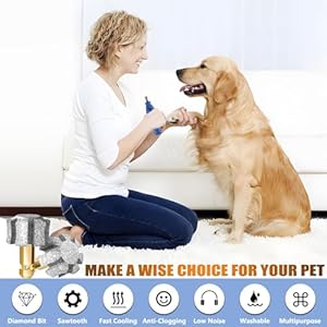 Petnailgrinderbitsawtoothheadwithfastcoolinganticloggingdiamonddognailgrindertipreplacementforclawcaregrooming1p80  Cucciolini Doodles   cucciolini doodles