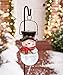 Solar Snowman Stake Set-Stake Set