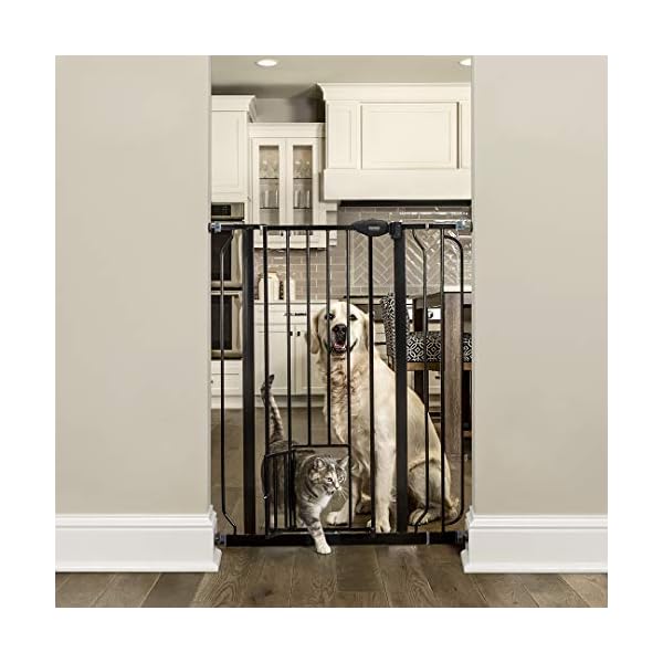 Carlson Extra Tall Walk Through Pet Gate with Small Pet Door, Includes
