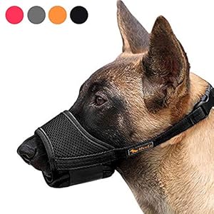 HEELE Dog Muzzle Breathable Mesh and Durable Nylon Dog Muzzle with Adjustable Loop and Soft Pad Dog Training Muzzle Prevent for Barking, Biting and Chewing (Black, M)