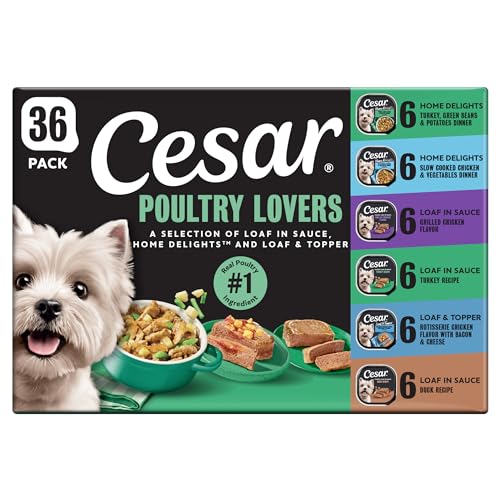 Cesar Classic Loaf Wet Dog Food Variety Pack