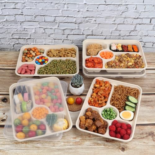 JAYEEY 40 oz 5 Compartments disposable Sugarcane Fiber plates with Lids Bagasse Plant Fibers Freezer Safe 25 Pack