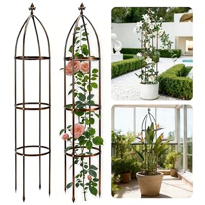 6.3Ft 100% Metal Garden Obelisk Trellis for Climbing Plants Outdoor, Rose Trellis for Potted Plants, Sturdy Garden Trellis for Climbing Vines, Vegetables, Flowers Stands, 1 Pack