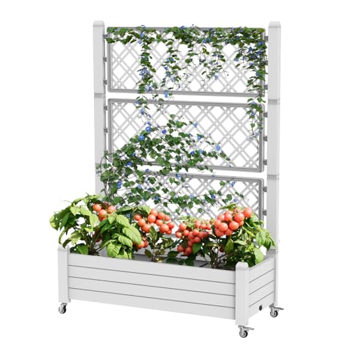 GYMHILL Elevated Resin