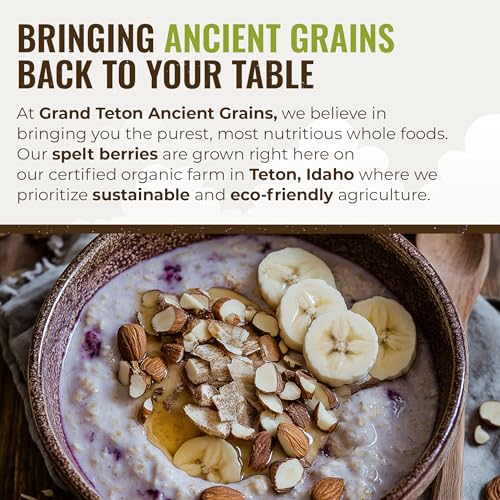 Grand Teton Ancient Grains - 100% Organic Spelt Berries, Whole Unmilled Spelt Berries, US-Grown Farro Organic Grain, Nutritious Baking Staple, Whole Grain Spelt in Brown Paper Bag, 48 lbs 24 x 2