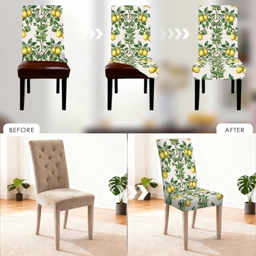 Image of Nuxovilar 6PCS Lemon Tree Yellow Green Leaf Stretch Chair Covers | Stretch Slipcover Furniture Protector Lemon Wrap Seat Guard Dining Room Kitchen Garden Cafe (Lemon Tree Pattern)