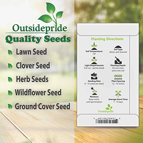 Outsidepride Hypoestes Splash White Polka Dot Container Or Bedding Plant For Shade Gardens - 200 Seeds #TOP4