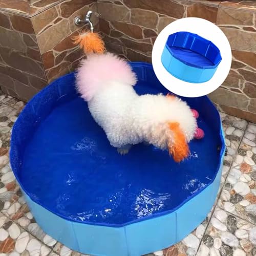 Faltbarer Hundepool, 30×10cm Katzenpool Klein,Blau Katzen Planschbecken,Hunde Planschbecken,Faltbarer Haustierpool für Katze Hund,Hund Schwimmbecken Tragbare,PVC Hundepool Schwimmbad für Baden Spielen