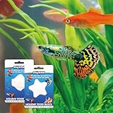 King British – Holiday Block Food – For Coldwater & Tropical Fish – Ideal for Leaving your Fish over Holidays – Does Not Cloud Water Ingredients – Helps keep Fish Healthy & Active - Image 7