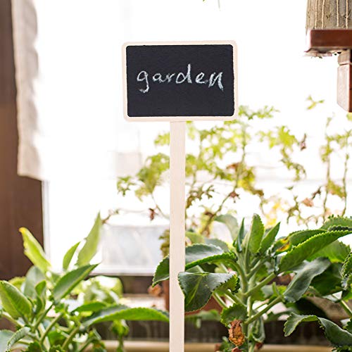 Wood Mini Chalkboard Signs,10Pcs Small Rectangle Chalkboards Blackboard,Plant Tags On Stake,For Wedding, Graduation Supplies, Birthday Parties, Message Board Signs, Wood Mini Chalkboard Signs,10P #TOP1