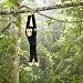 Imagen de Wild Republic
