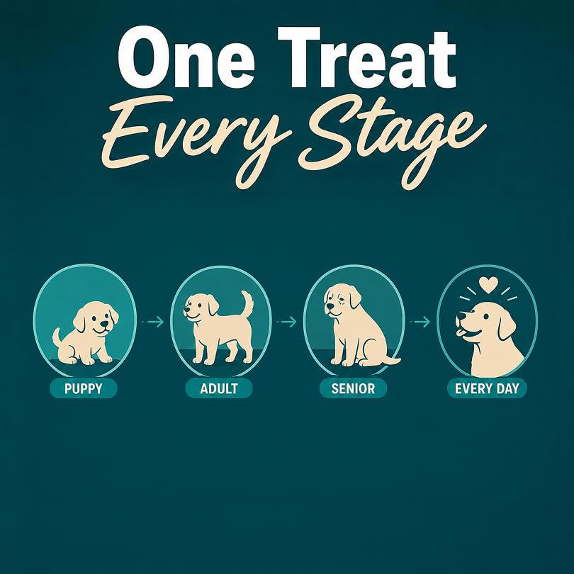 Image of Drools All Life Stages Dog Treats Creamy 5 Sticks Tasty & Nutritious Snack for All Breeds (15g x5) 75g | Chicken & Pumpkin Flavour | Ideal for Training | Supports Hydration | Boost Muscle Health