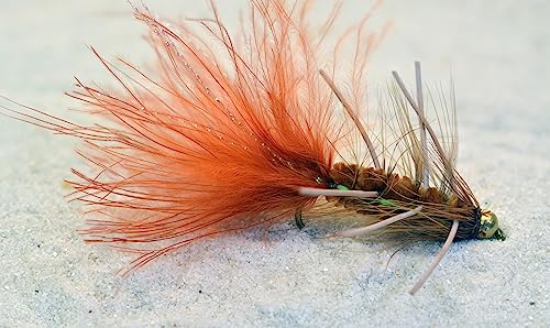 Weighted Bead Head Brown Woolly Bugger Streamer Fly with Rubber Legs & Flash Tied on Mustad Signature Hooks - 6 Flies (6ct Hook #4)