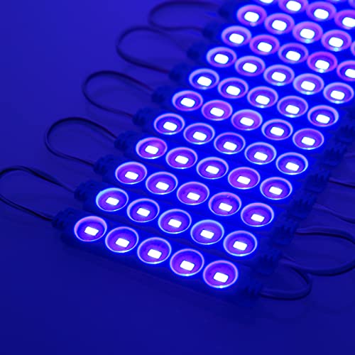 Image of Q QINGCHEN 24V DC Blue Color LED Module 1.2W Waterproof led Light Strip for Letter Advertising Signs with Tape Adhesive Backside (200pcs Pack,Blue, 24 Volt)