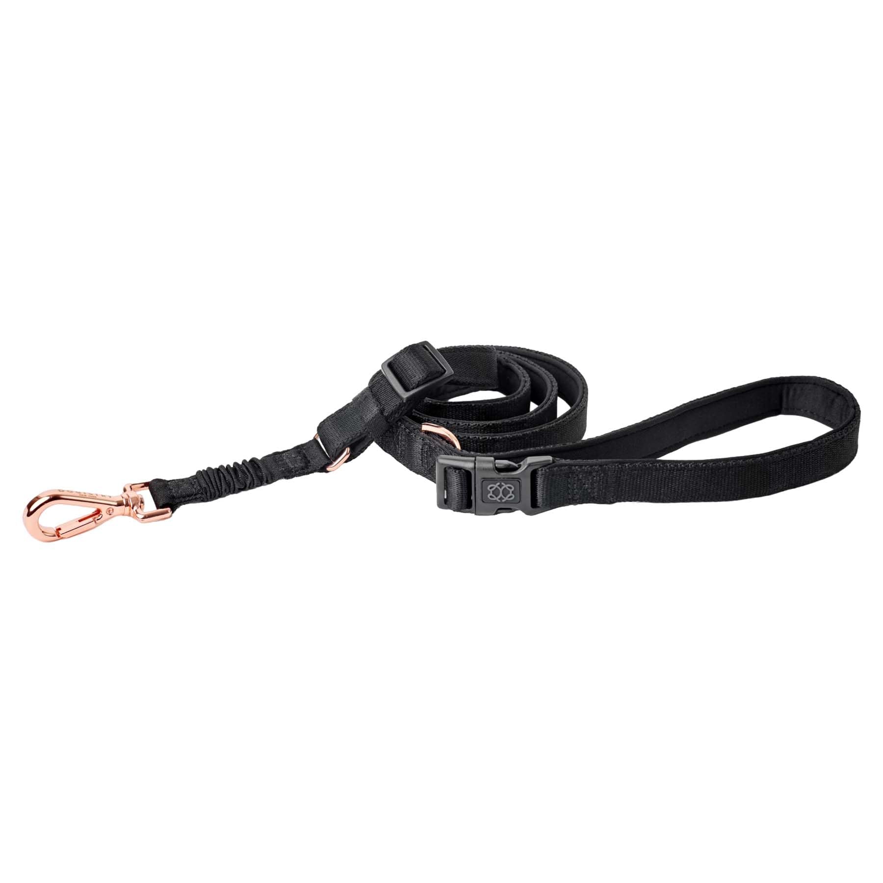 The DOGISTRY - Correa para perro de ciudad, color negro, galardonado, diseño manos libres, herrajes de oro rosa de lujo y funcionalidad de estilo hacia adelante, mediana