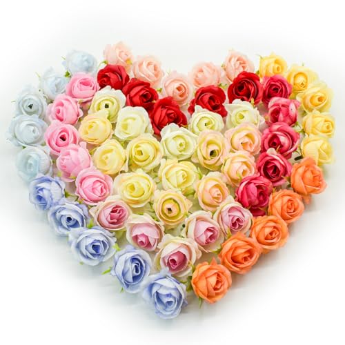 Bacucine o  wbh 60Zbg tFCNt[ ~j KN  lH [Y Ԃ̂ VN ͂Ȃ  DIY ԍ v[g t[AWg (12F)