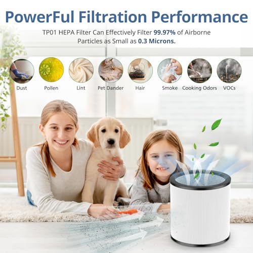 Upgraded TP01 Filter HEPA Replacement Filter Compatible with Dyson Tower Purifier Pure Cool Link TP01, TP02, TP03, AM11, BP01 Models, Compare to Part # 968126-03, 2 Pack