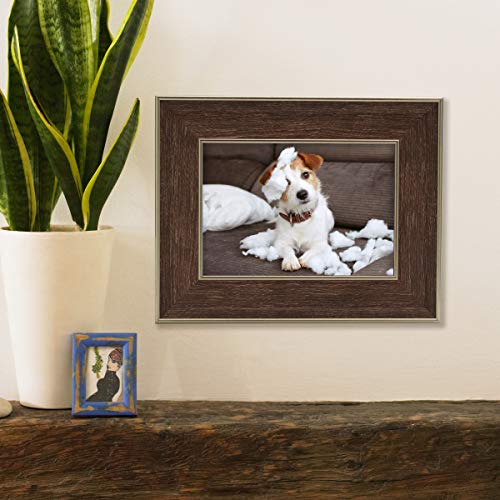 Mikasa Plastic Picture Frame, 5X7-Inch, Walnut #TOP4