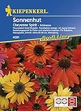 für Haus und Garten Echinaceae purpurea Sonnenhut Cheyenne Spirit