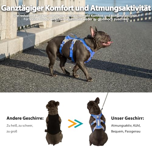 Huntboo Sicherheitsgeschirr Hund Ausbruchsicher, Panikgeschirr für Hunde, Reflektierendes Geschirr mit Gepolstertem Griff, Verstellbare Weste für Kleine Hunde, die Spazieren Gehen (Meeresblau,S)