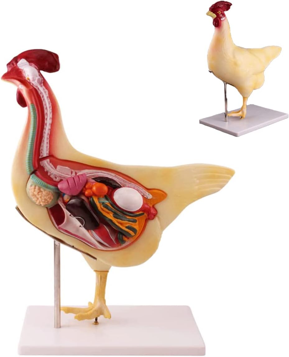 ファイナルファンタジー:アンリミテッド［双の絆] 著・片桐笙 FFU