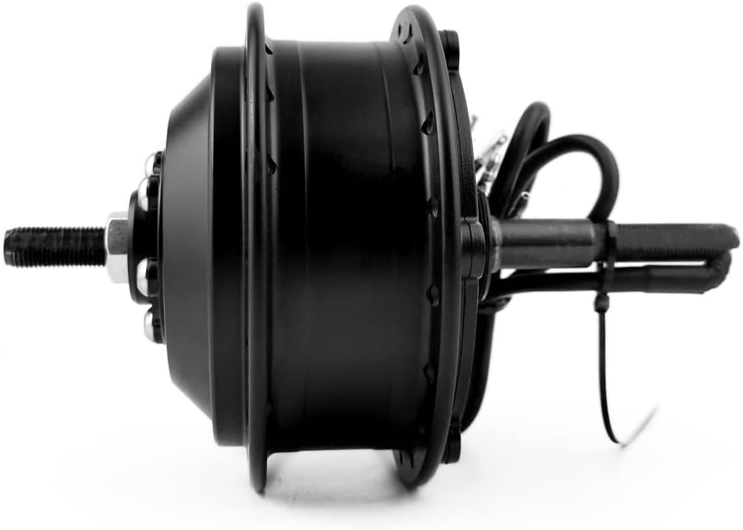 L-faster 24V 36V 48V 250W Bike Rear Wheel Hub Motor Bicycle Brushless Hub Spokes Motor Hub Motor with Flywheel