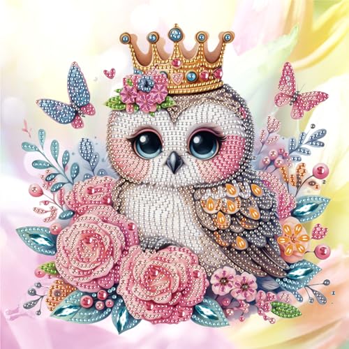 Image of AiYuanzsh Diamond Art Kits for Adults, 5D Special Shape Owl Diamond Painting, Crystal Rhinestones Diamond Art Kits for Beginners, DIY Animal Diamond Art for Home Wall Decoration Gift, 12x12 Inch