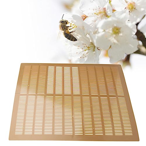 Coletor de Própolis Seguro e Ecológico para Apicultura Novinho Em Folha