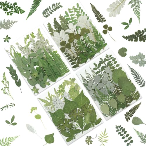 LUXEEASE 84P Dried Pressed Flowers and Leaves Kit - Natural Earthy Green Leaves, Ferns & Eucalyptus for Resin Art, Scrapbooking, Soap Making, Candle Making, DIY Gifts - Tweezers Included