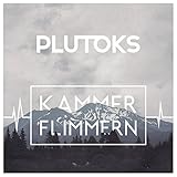  Kammerflimmern