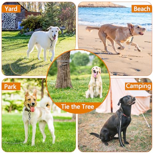 XiaZ Dog Runner Tie Out Kabel Hundeleine Run Trolley Trainingsleine, Stahldraht Pet Runner für große Hunde bis zu 250 Pfund 70ft