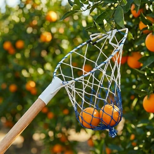 Image of ecofynd Fruit Picker Tool with Pole Attachment, Metal Frame & Nylon Net Basket for Mango, Apple, Lemon & Orange, Lightweight Fruit Harvester for Safe Fruit Picking from Trees, Garden & Farm (White)