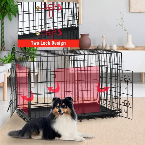 Large Dog Crate Kennel 48 Inch Metal Wire Dog Crate, Double-Door Folding Indoor and Outdoor Pet Dog Crates Dog Kennel… - Image 5