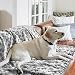Gorgelly Hundedecke, Weiche Haustierdecke Waschbar, Kuscheldecke Flauschig for für Groß Hunde Katzen, Sofaschoner für Hunde, Hundedecke für Unterwegs, 130x110 cm(1 Pack)