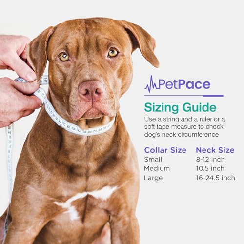 PetPace Smart Collar 2.0 for Dogs