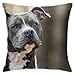 Poszewka na poduszkę niebieski amerykański pies Pitbull fajne poszewki na poduszki na zewnątrz poszewka na poduszkę dekoracja design poszewka na poduszkę 45 x 45 cm na prezenty, współpracownik, prezenty urodzinowe