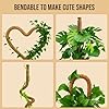Craft911 Moss Pole Monstera Plant Support – 48” Bendable Moss Pole Monstera Plant Support, Plant Stakes for Indoor Plants, Tall Plant Sticks Support for Climbing Plants #5