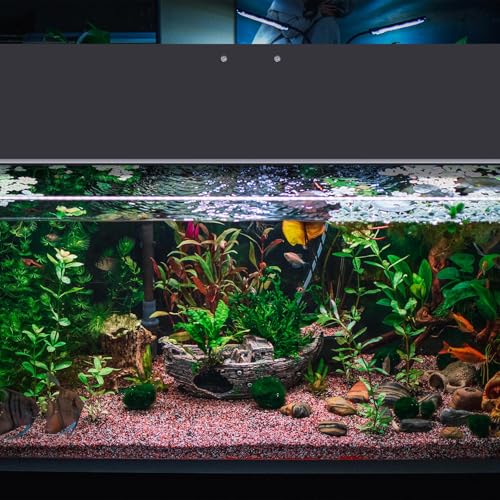 Image of Sieral Aquarium Polycarbonate Canopy Set 15.37 x 7.63 x 0.12 Inch for 5 Gallon Without Center Brace Aquariums Cover Fish Tank Lid with a Hook Knife, Black