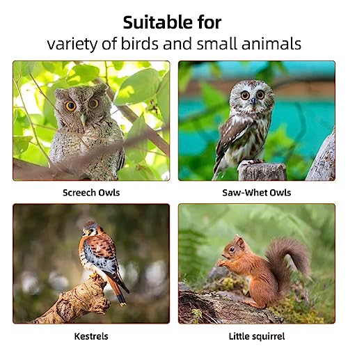 Image of Owl House Owl Nesting Box for Outside: Handmade Wooden Bird House with Bird Stand - 100% Solid Wood Nesting Box