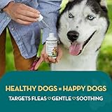 The Healthy Dog Co & Cat - Natural Flea Treatment for Dogs, Cats - Spot On Flea Treatment for Dogs - Dog Flea Treatment, Cat Flea Treatment - Natural Flea Treatment for Dog - Image 3